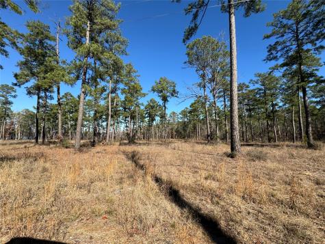TBD28 Private Road 6028 Brookeland TX 75931