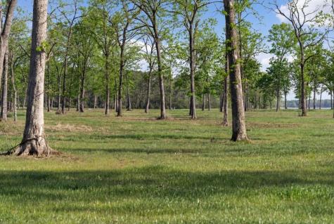 Lot 1 Island View Livingston TX 77351