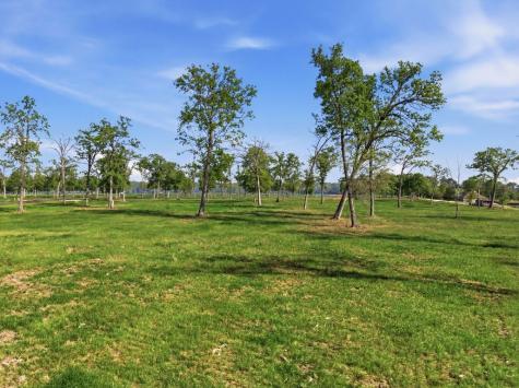 Lot 1 Island View Livingston TX 77351
