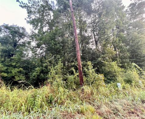 1 Autumn Way Huntsville TX 77320