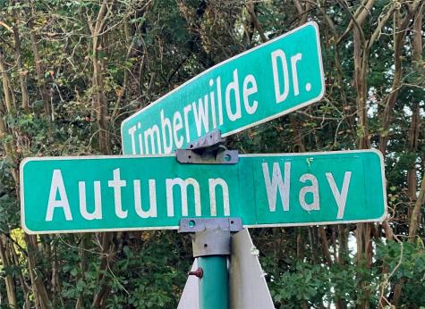 1 Autumn Way Huntsville TX 77320
