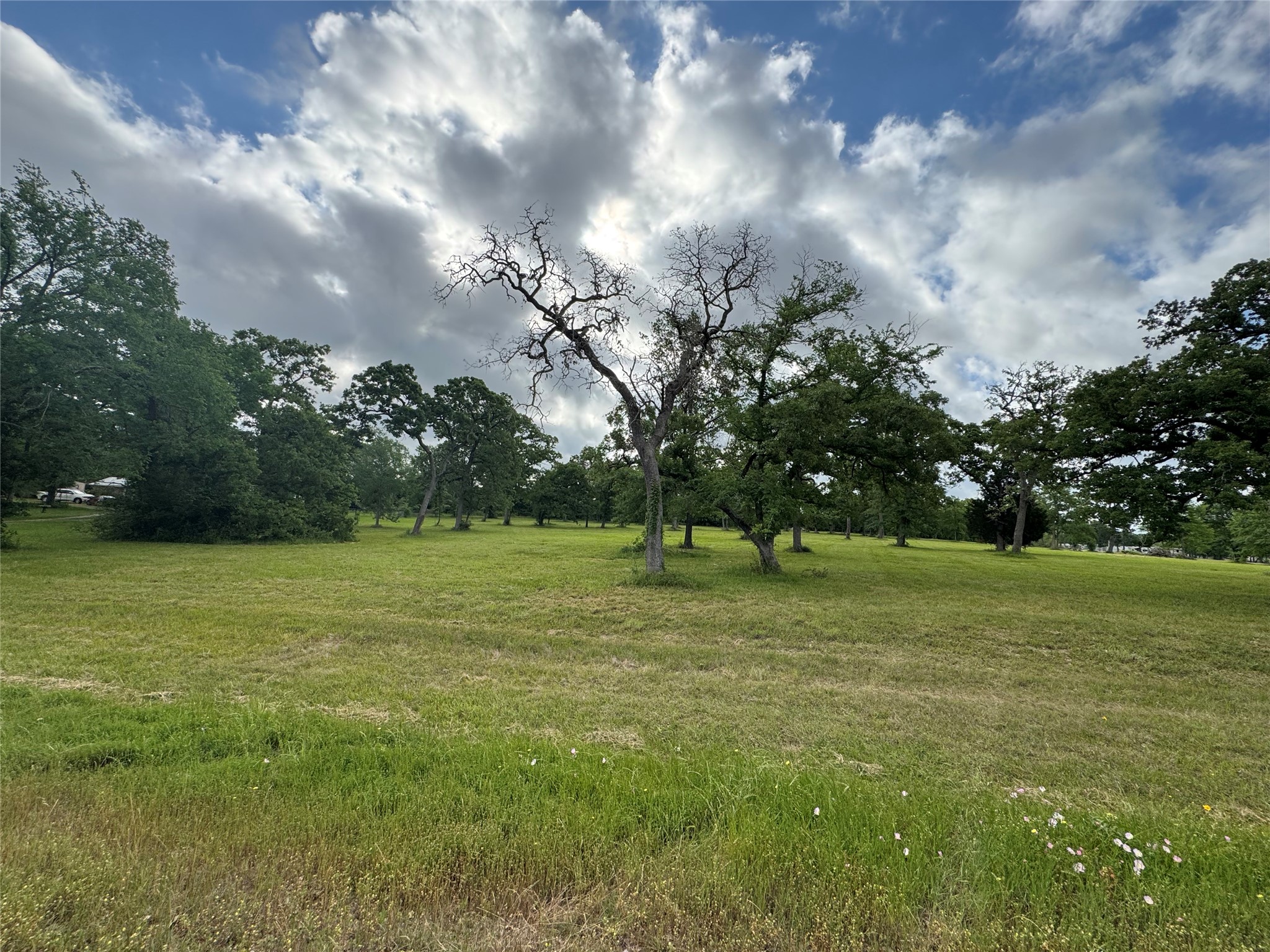 Tbd Fm 1696 E Huntsville TX 77340