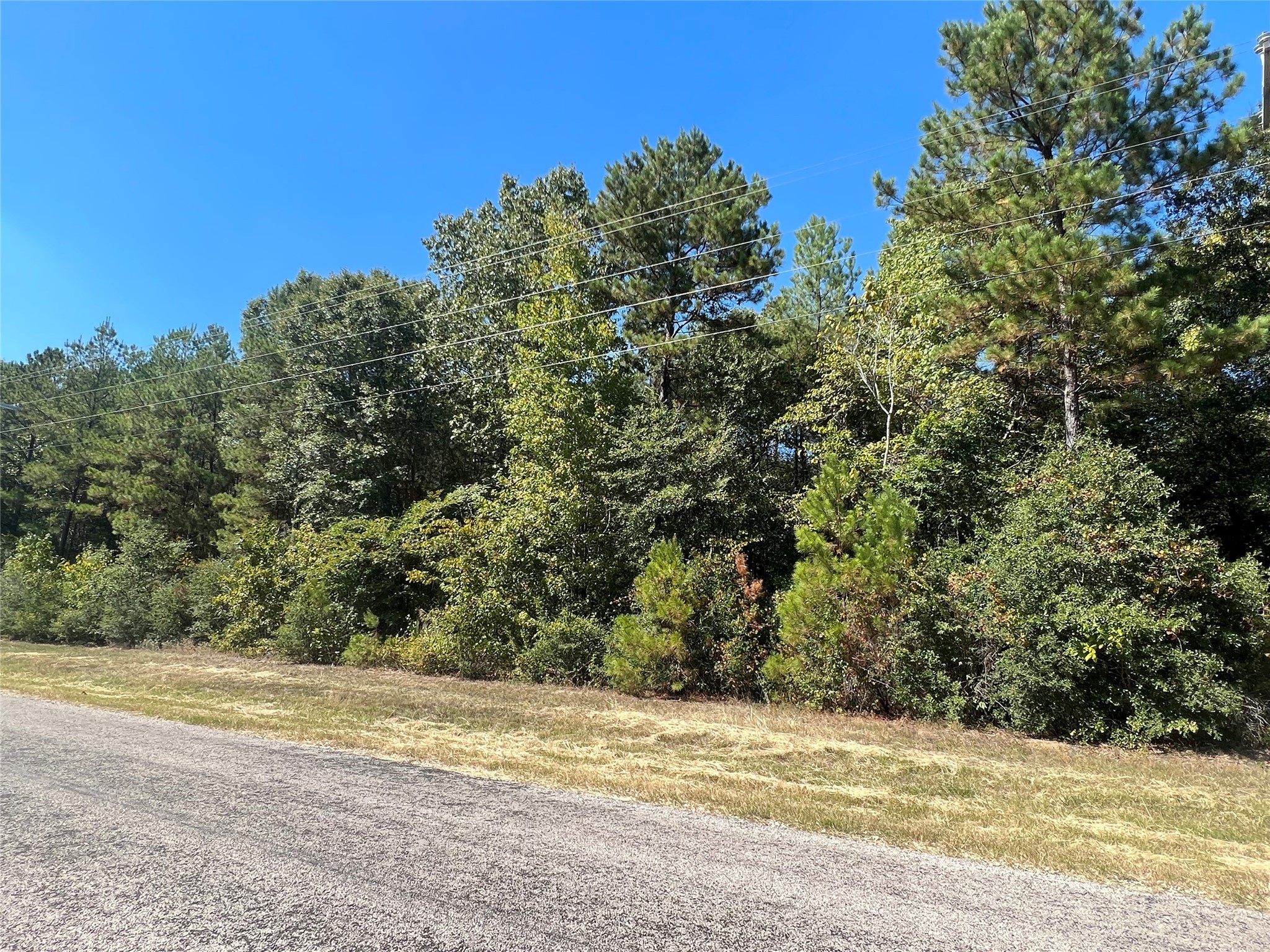 0 Grand View Huntsville TX 77340