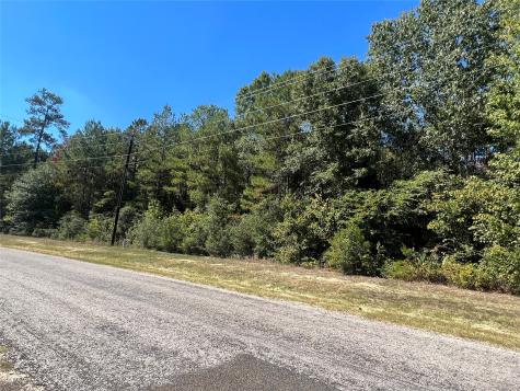 0 Grand View Huntsville TX 77340