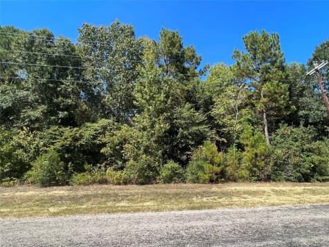0 Grand View Huntsville TX 77340