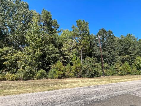 0 Grand View Huntsville TX 77340