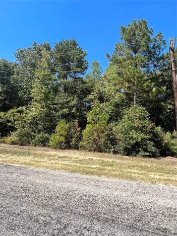 0 Grand View Huntsville TX 77340