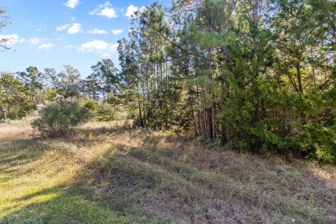 26 N Royale Greens Drive Coldspring TX 77331