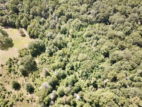 8.269+/- Acs Fm 92 S Woodville TX 75979