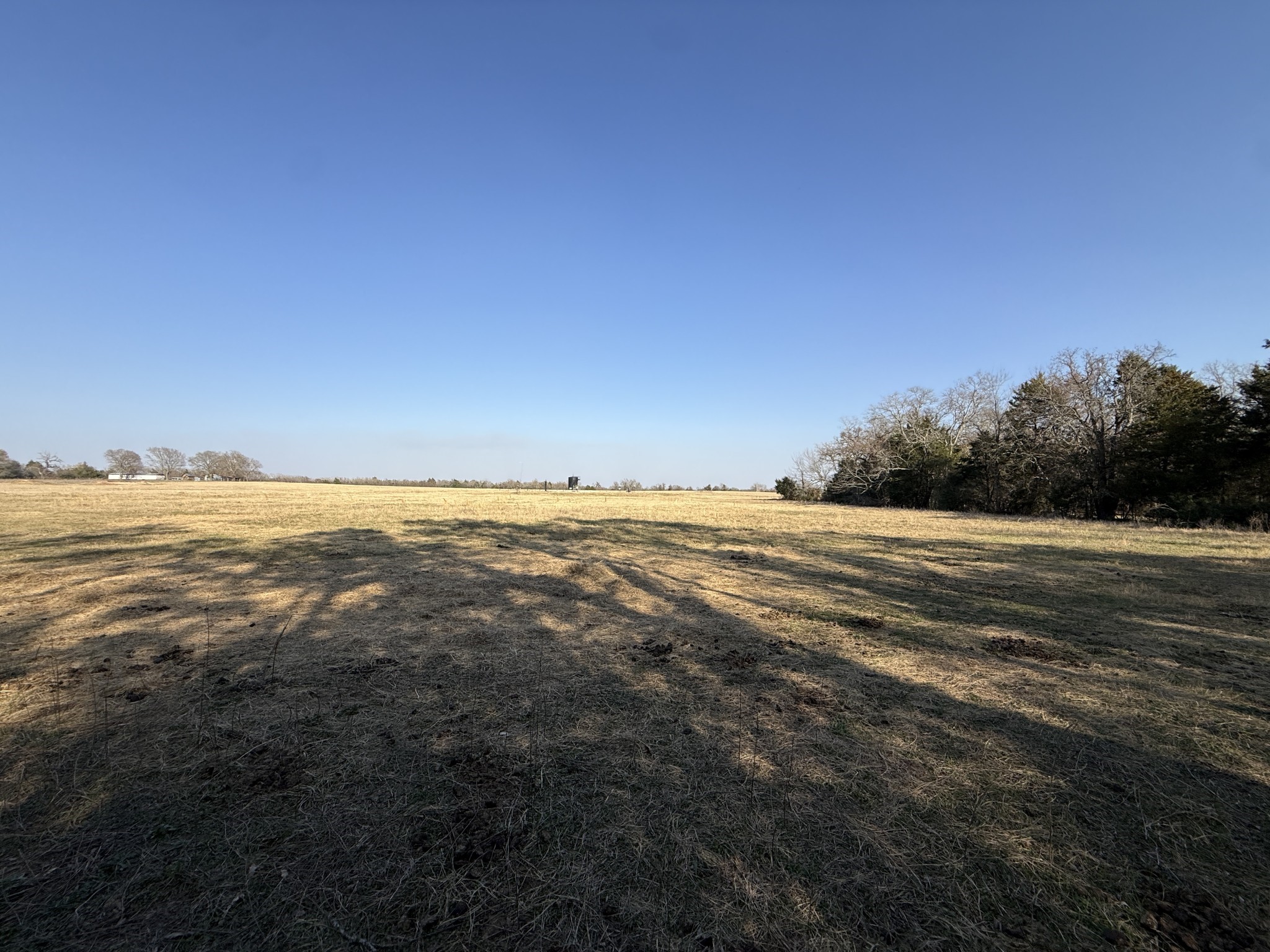 Tbd Tract #6 Fcr 445 Fairfield TX 75840