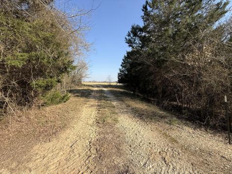Tbd Tract #6 Fcr 445 Fairfield TX 75840