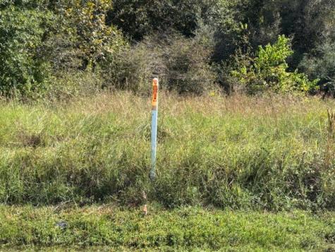 12903 Highway 59 Beasley TX 77417