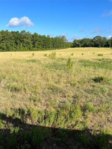 Tbd Cr 4535 Crockett TX 75835