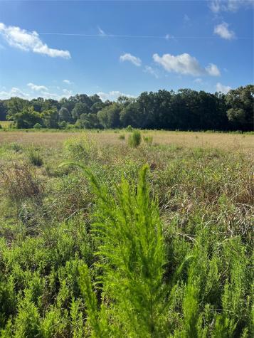 Tbd Cr 4535 Crockett TX 75835