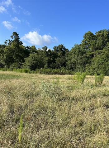 Tbd Cr 4535 Crockett TX 75835