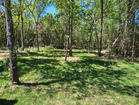 14948 Colt Lane Willis TX 77378