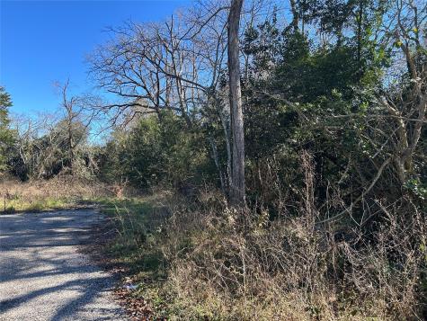 14948 Colt Lane Willis TX 77378