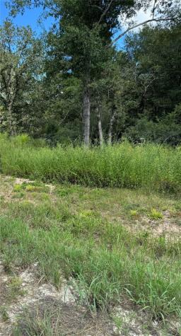 10423 State Highway 21 W Crockett TX 75835