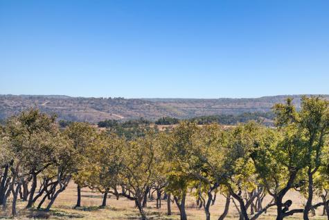 3300 Fm 165 - Lot 21 Dripping Springs TX 78620