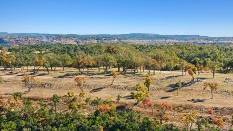 3300 Fm 165 - Lot 21 Dripping Springs TX 78620