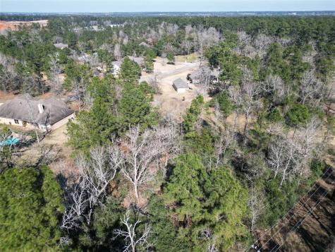 405 Arbor Way Court Montgomery TX 77316