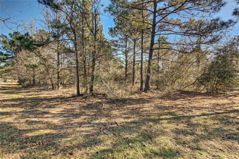 405 Arbor Way Court Montgomery TX 77316