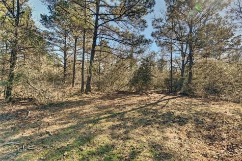 405 Arbor Way Court Montgomery TX 77316