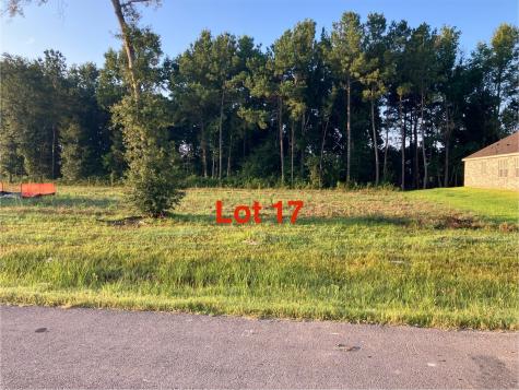1061 Tarkington Timbers Drive Cleveland TX 77327