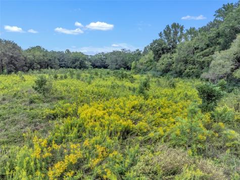 Tbd Crockett Street Rusk TX 75785