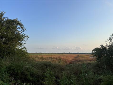 TBD Cr 343 Harter Road Blessing TX 77419