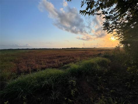 TBD Cr 343 Harter Road Blessing TX 77419