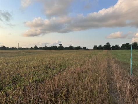 TBD Cr 343 Harter Road Blessing TX 77419
