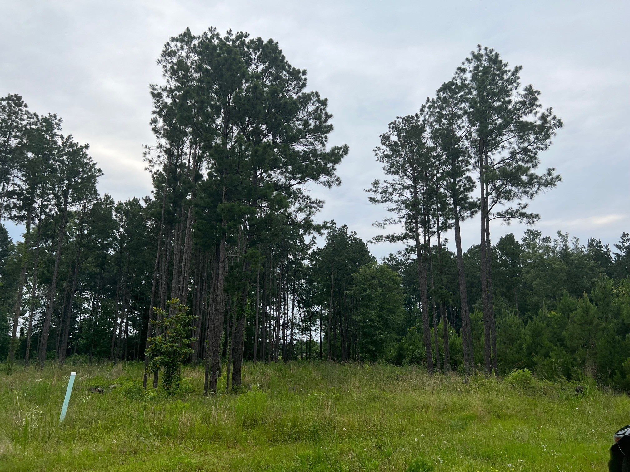 389 County Road 3540 Cleveland TX 77327