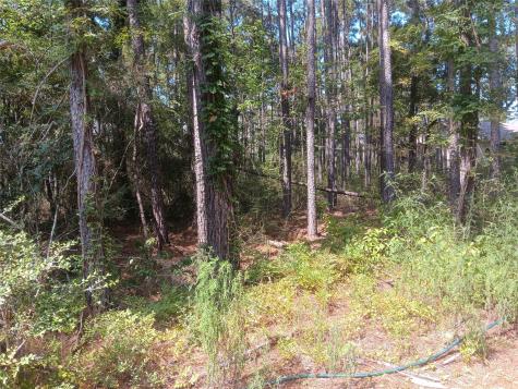 Lot 17 & 18 Honeylocust Lane Plantersville TX 77363