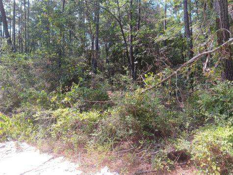 Lot 17 & 18 Honeylocust Lane Plantersville TX 77363