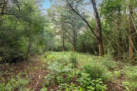 Tbd Homestead Lane Burton TX 77835