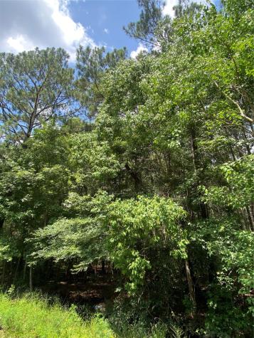 19136 Durham Court New Caney TX 77357