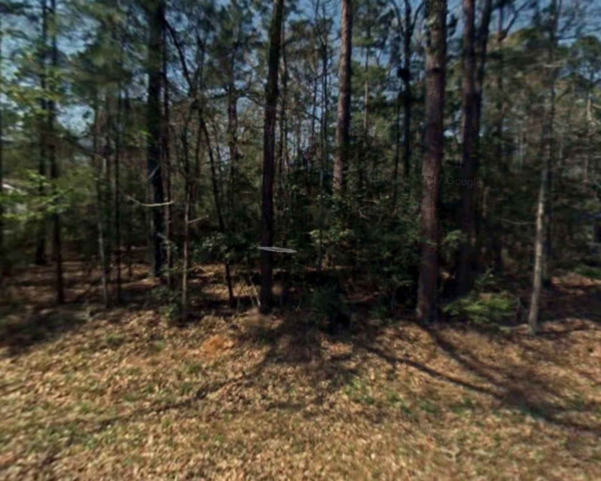 0 Rosemary Lane Livingston TX 77351