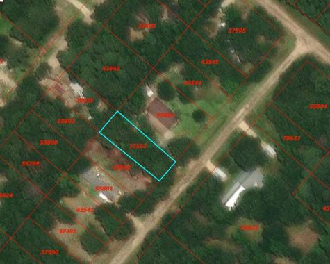 0 Rosemary Lane Livingston TX 77351