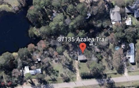 37135 Azalea Trail Magnolia TX 77354