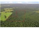 Tract 12b F M 230 Lovelady TX 77854