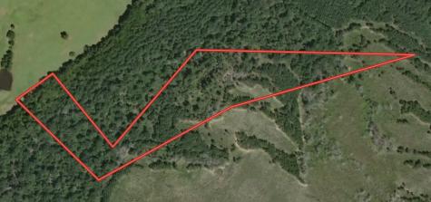 Tract 12b F M 230 Lovelady TX 77854