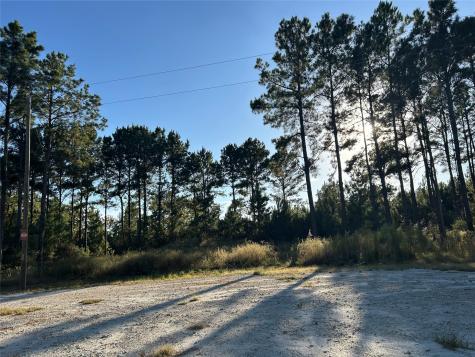 Tract 12b F M 230 Lovelady TX 77854