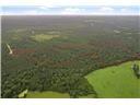 Tract 12b F M 230 Lovelady TX 77854