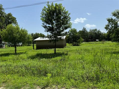 Tbd White Oak Drive Trinity TX 75862