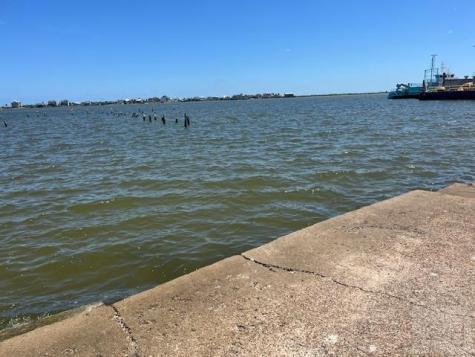 9705 Teichman Road Galveston TX 77554