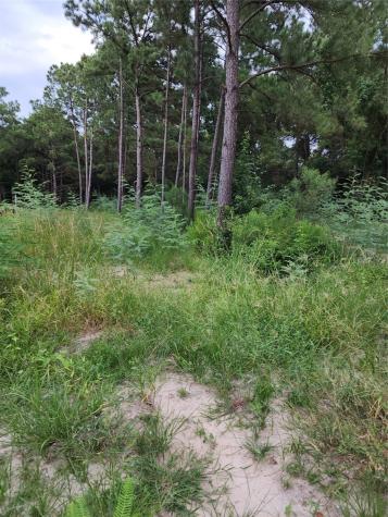 Tbd /0 W Hardy Road Houston TX 77073