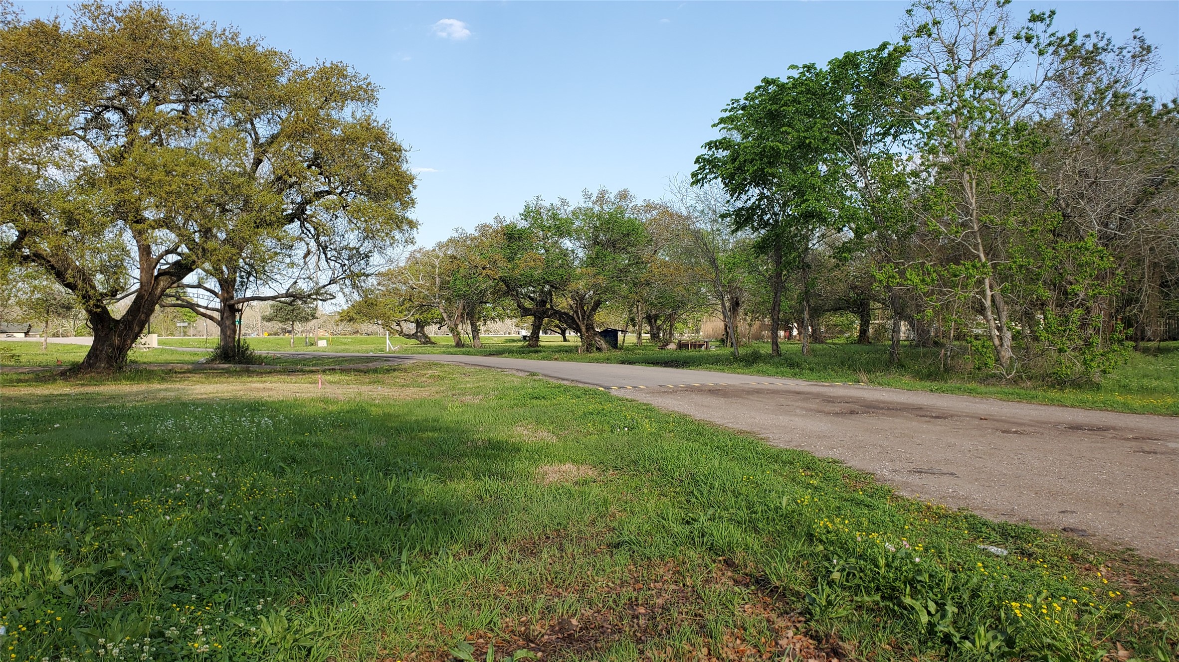 105 Country Oaks Street Brazoria TX 77422