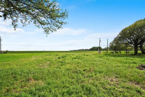 105 Country Oaks Street Brazoria TX 77422