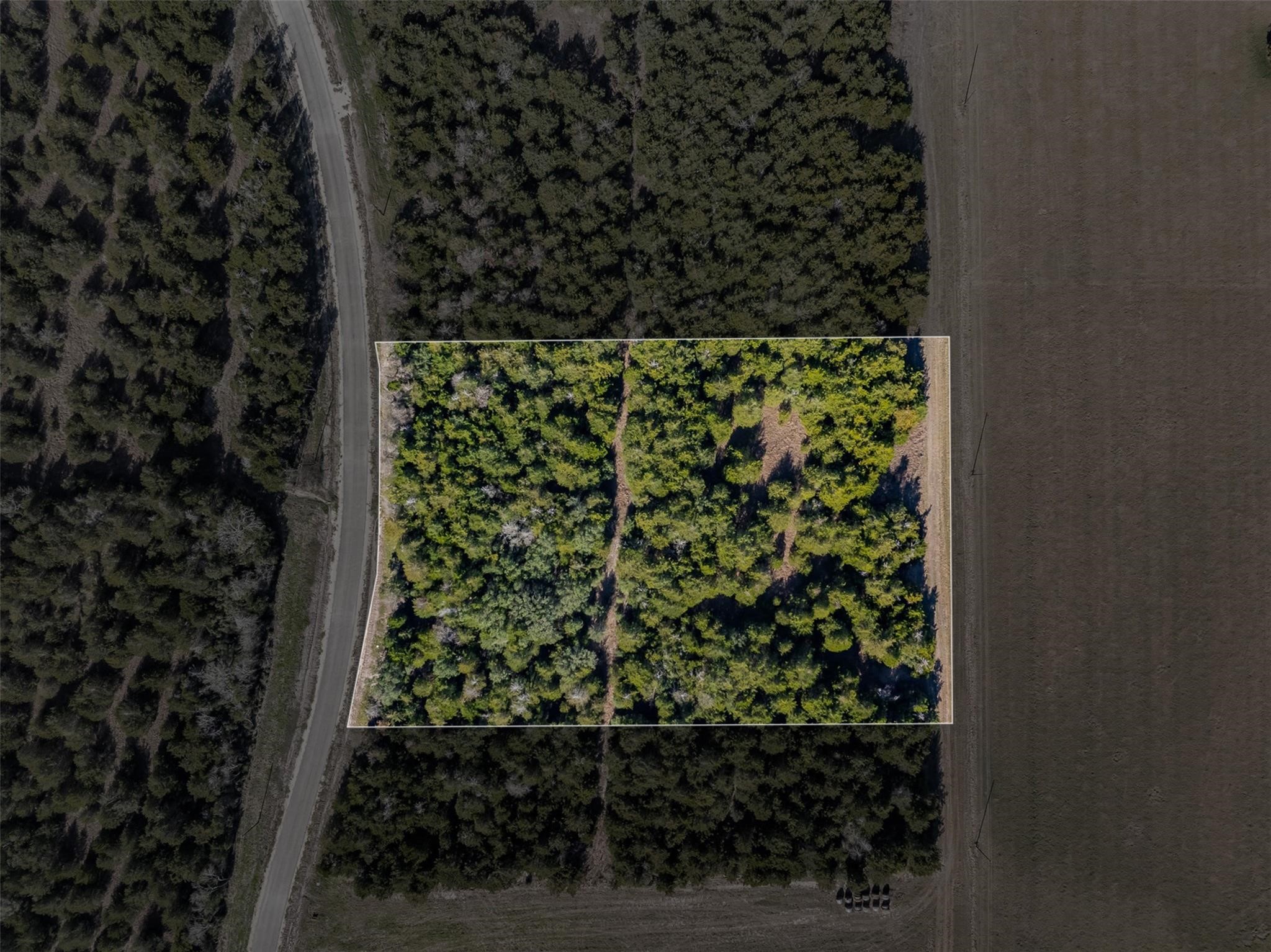 468 (Lot 16) Vineyard View Trail Carmine TX 78932